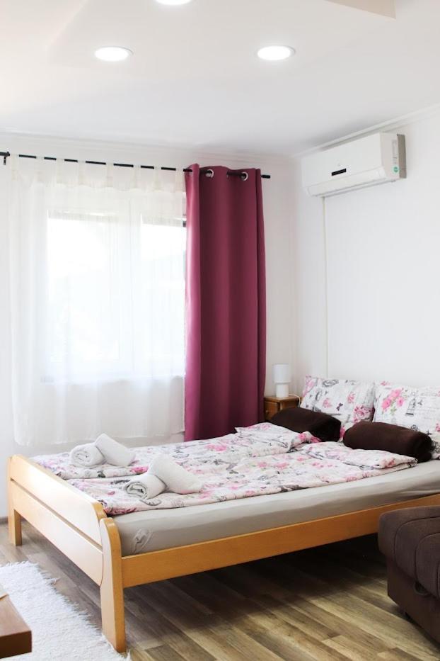 Charming Studio Masa Palic Exterior photo